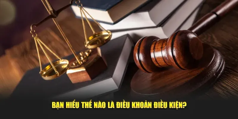 Điều Khoản Và Điều Kiện 789P